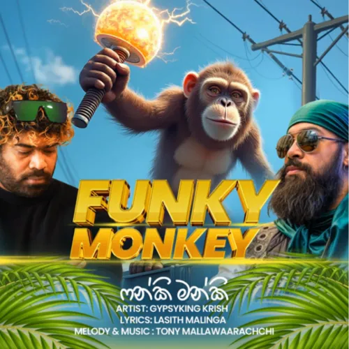 Funky Monkey - GYPSYKING Krish