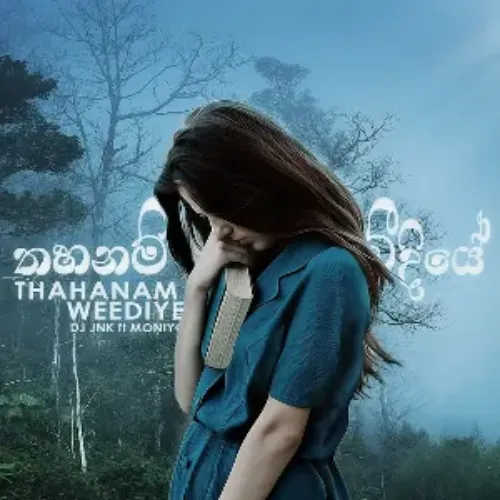 Thahanam Weediye - DJ JNK