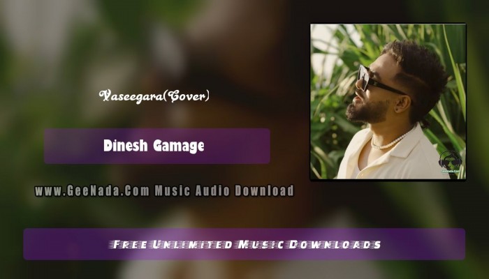 Vaseegara(Cover)