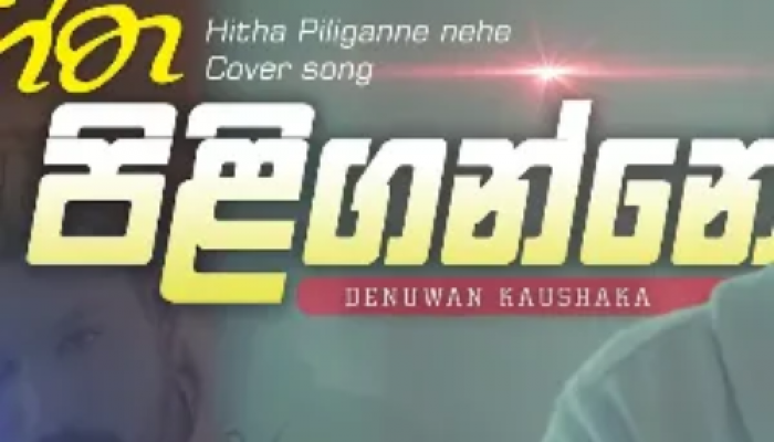 Hitha Piliganne Na (Cover)