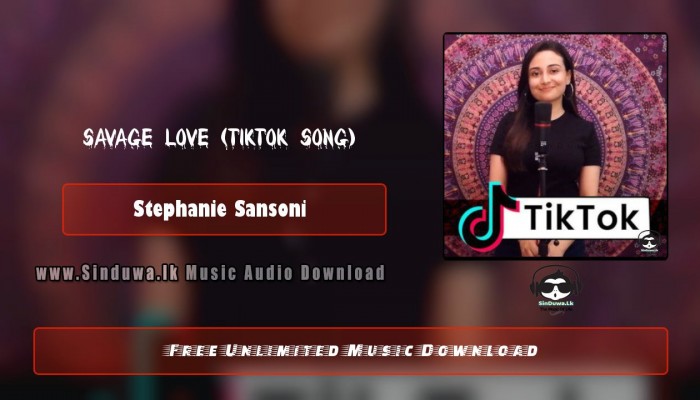 Savage Love (TikTok Song)