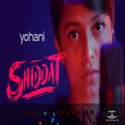 Shiddat Title Track