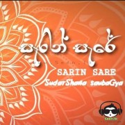 Sarin Sare