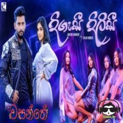 Digasee Dilisee (Wasanthe Movie)