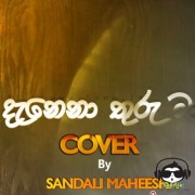 Danena Thuru Maa (Cover)