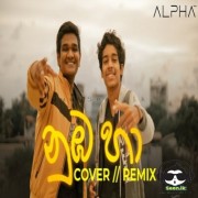 Numba Ha (Cover)