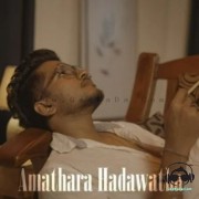 Amathara Hadawatha