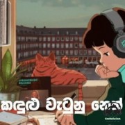 Kandulu Watunu Neth Pitu Athare (Lofi Version Sinhala Cover) 