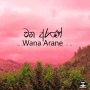 Wana arane