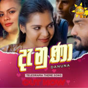 Danuna (Paavi Enna Aasai Teledrama)